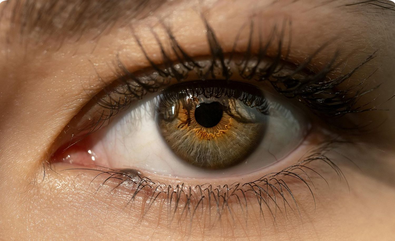 Lashes after eight weeks of The Lash Elixir