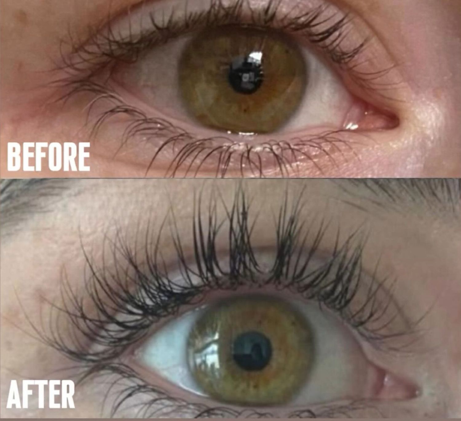 Before and after, eight weeks of Orya
