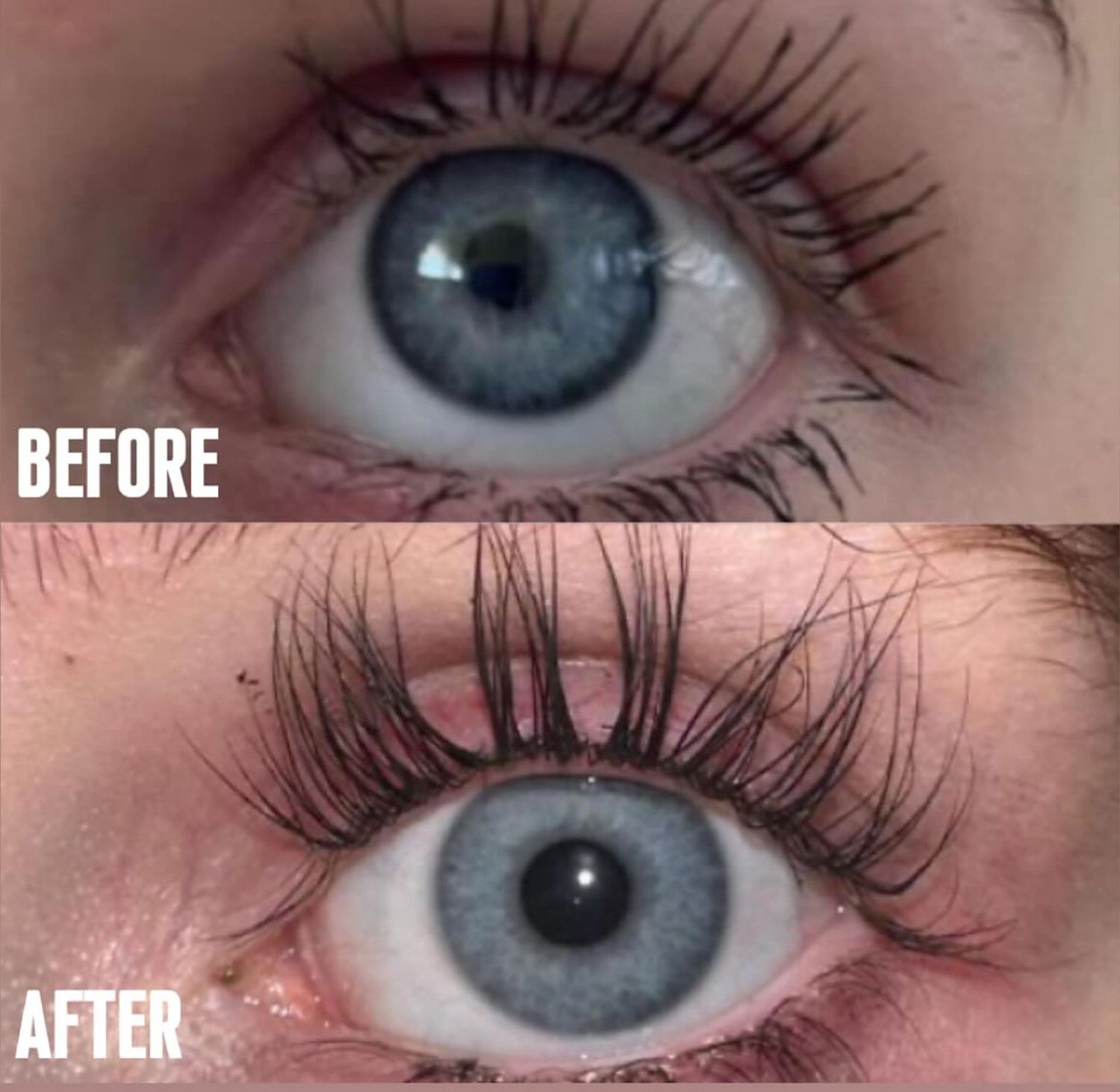 Before and after, eight weeks of Orya