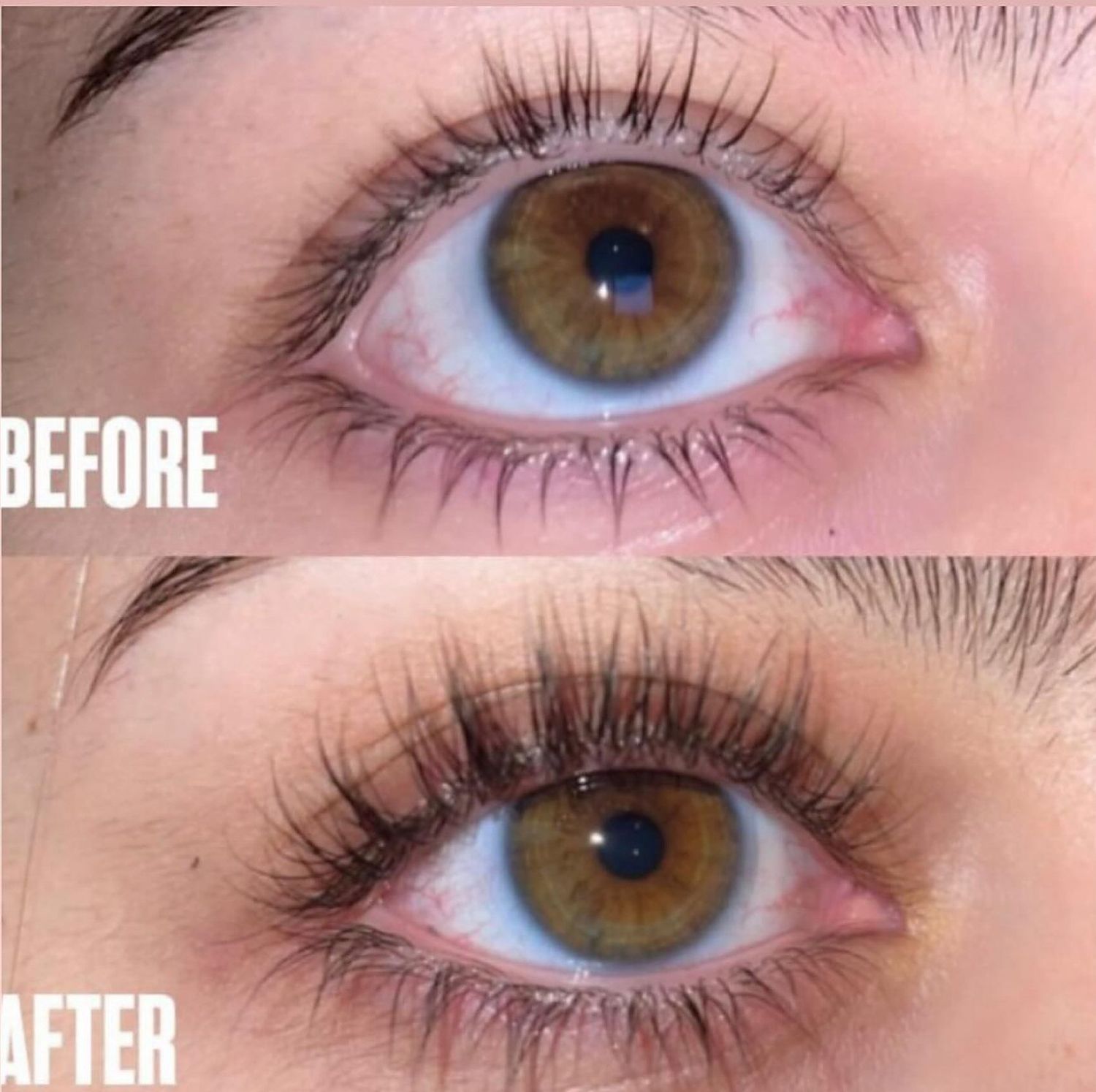 Before and after, eight weeks of Orya